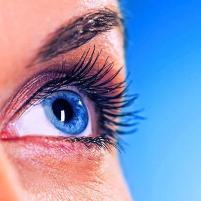 آرایشگاه کاملیا